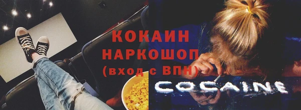 дмт Бородино