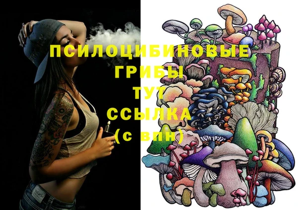 эйфоретик Бронницы