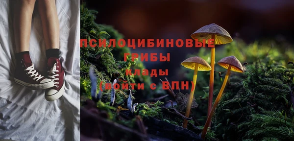 марки lsd Богданович