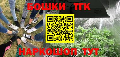 крисы Будённовск