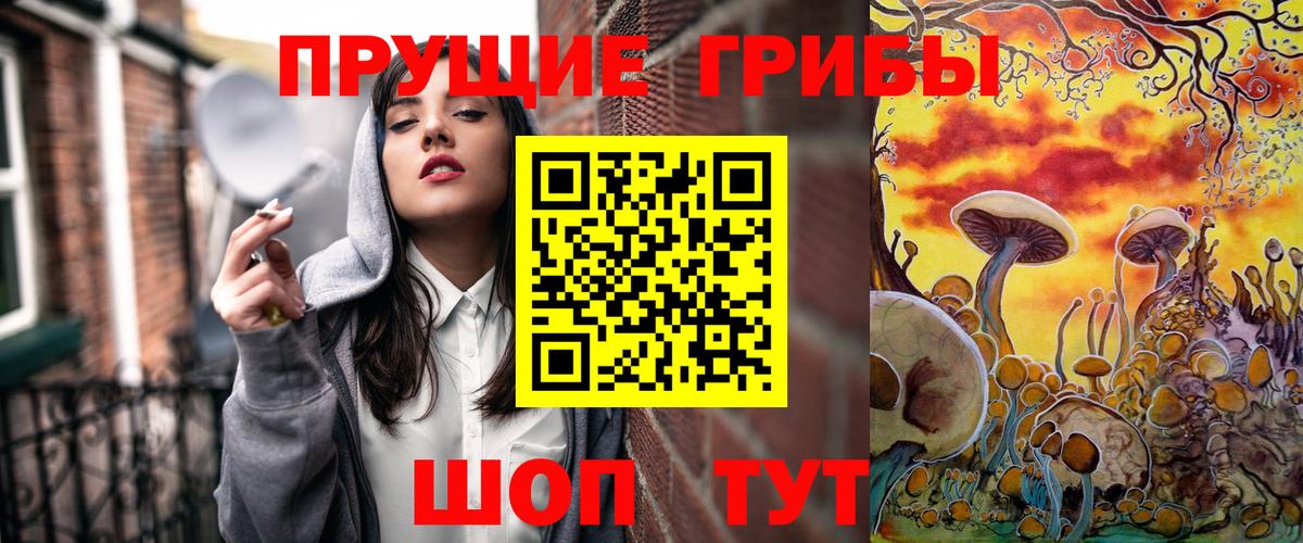 Видное  Псилоцибиновые грибы Psilocybe  Вход с VPN 