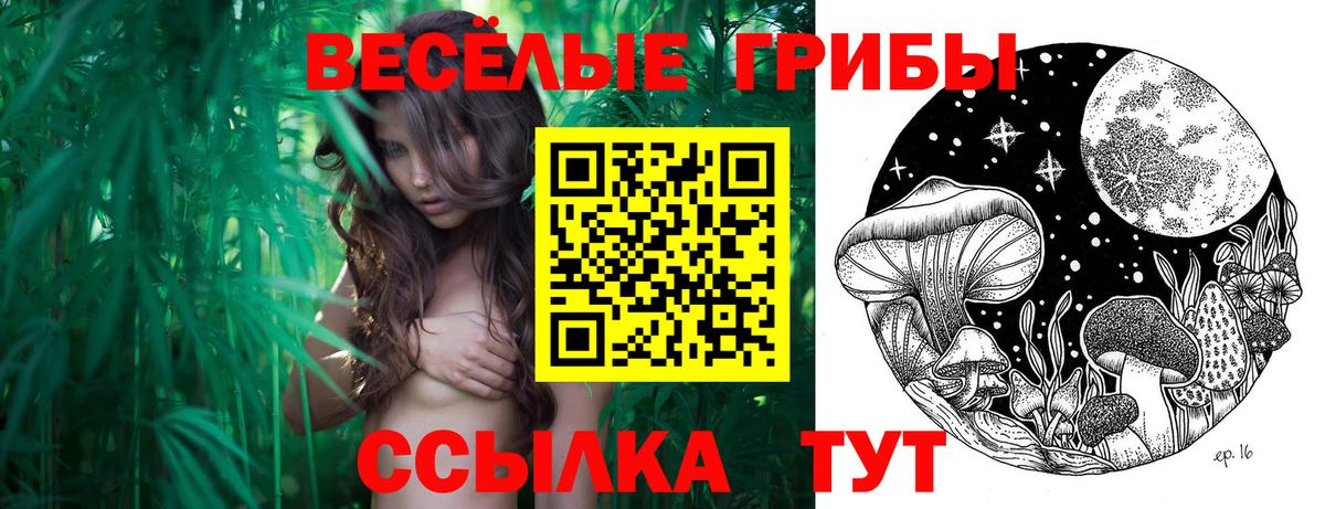 Псилоцибиновые грибы мухоморы Видное