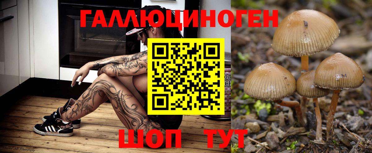Галлюциногенные грибы Magic Shrooms Видное